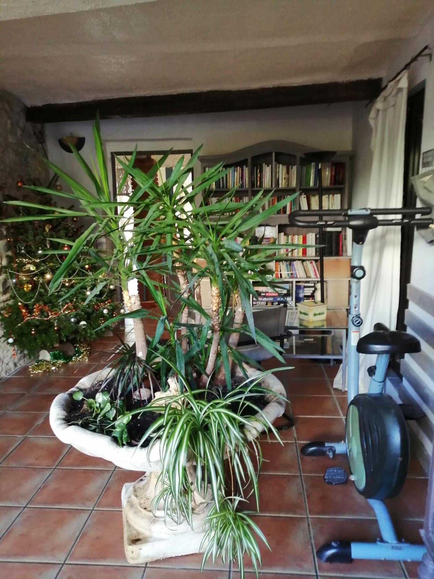 Belle Maison De Caractere Dans Village Et Sa Piscine Privee 7 Pers- 3 Chambres - 12 Rue Emile Zola Millas Екстериор снимка